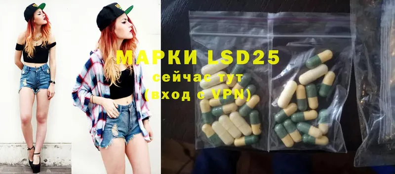 LSD-25 экстази кислота  магазин продажи наркотиков  Каменка 